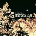 高遠城お花見旅ブログ/天下の紅桜たちのワンマンライブステージ！