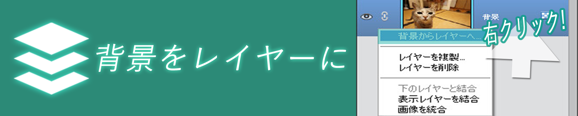 %e3%83%ac%e3%82%a4%e3%83%a4%e3%83%bc%e6%8a%804