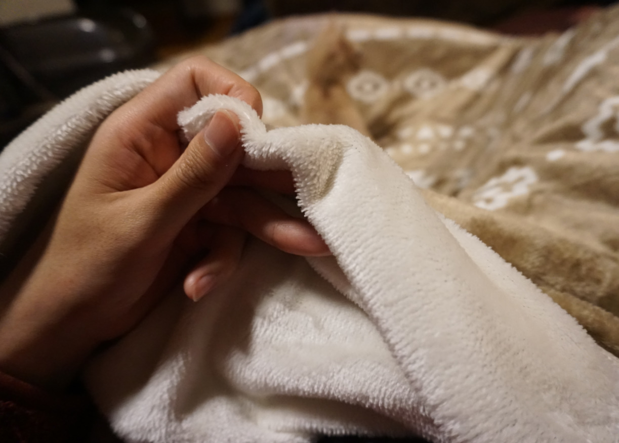 ニトリのNウォーム毛布の評価レビュー