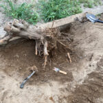 庭にある木の根っこを抜根する方法